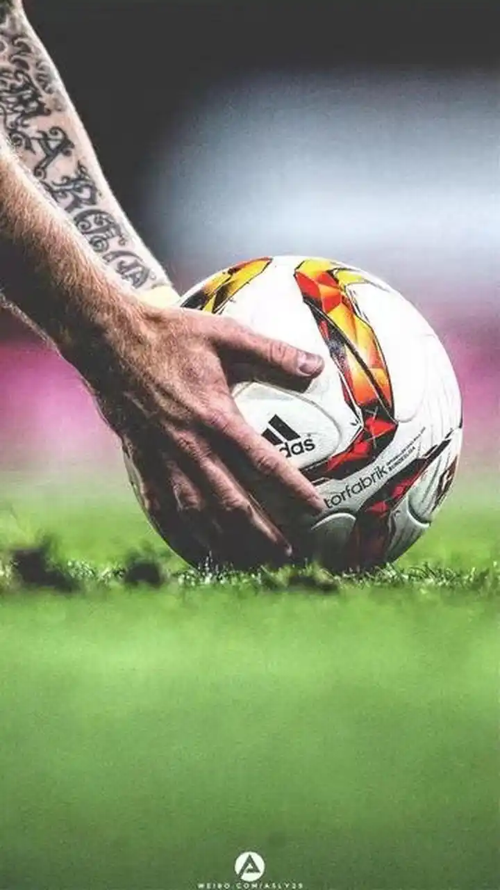 现代交融的 现代交融的