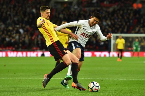 引进中卫 引进中卫