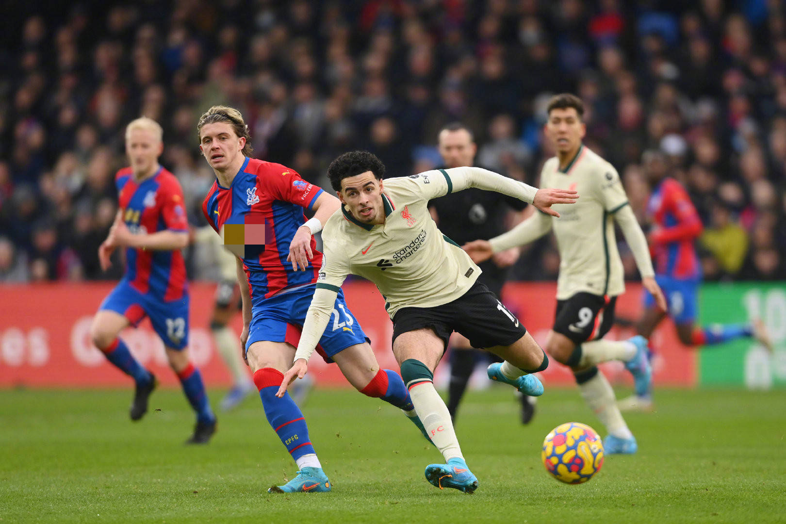 澳大利亚网 澳大利亚网